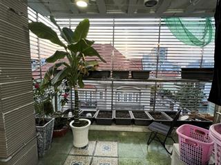 1tr8/người combo trọn gói chi phí