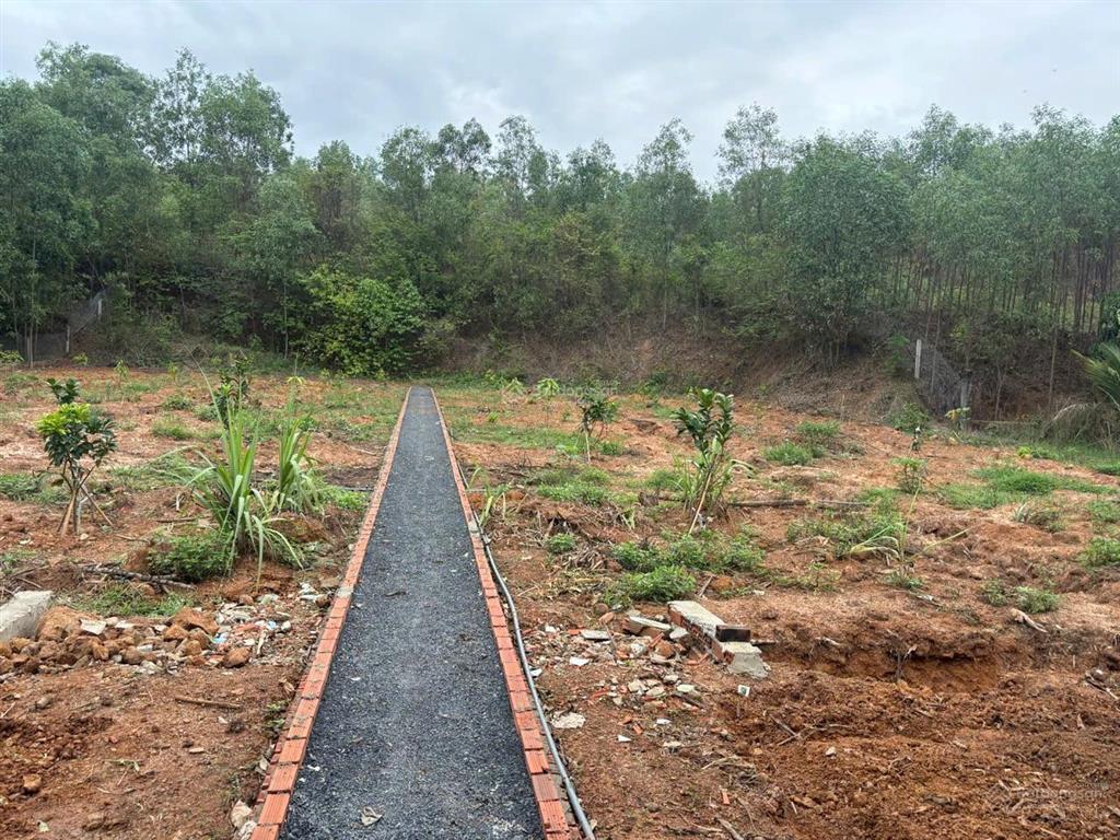 Cho thuê biệt thự nhà vườn, cách khu công nghiệp giang điền 2,5 km