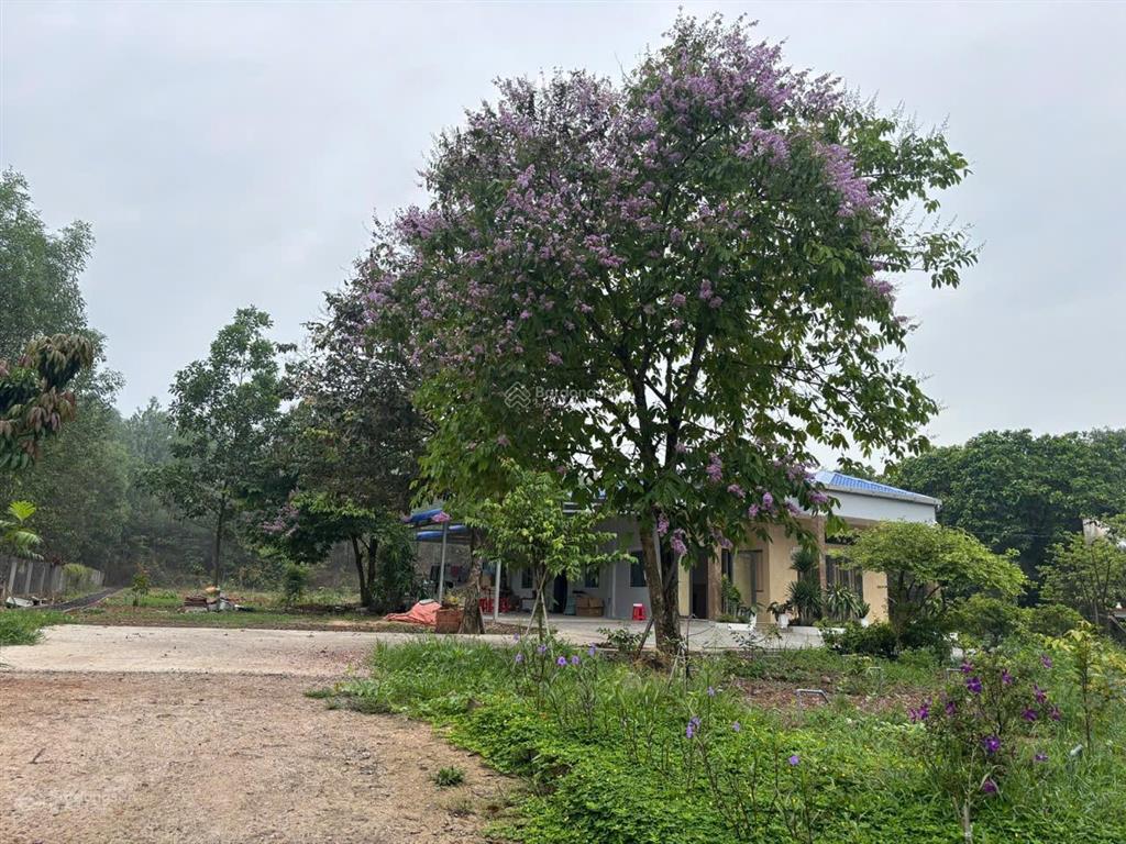 Cho thuê biệt thự nhà vườn, cách khu công nghiệp giang điền 2,5 km