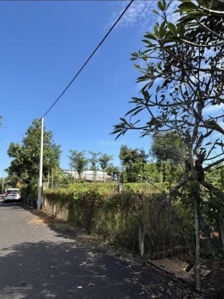 Bán đất ấp 4, xã hòa hội, huyện xuyên mộc, 12 tỷ, 2113.7 m2