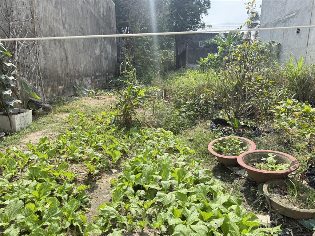 Bán đất đầu tư an phước gần thị trấn long thành 5x24