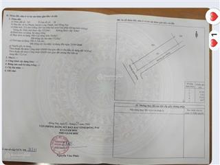 Lô góc 2mt buôn bán đường ấp 8 an phước 5,9x37 có thổ cư