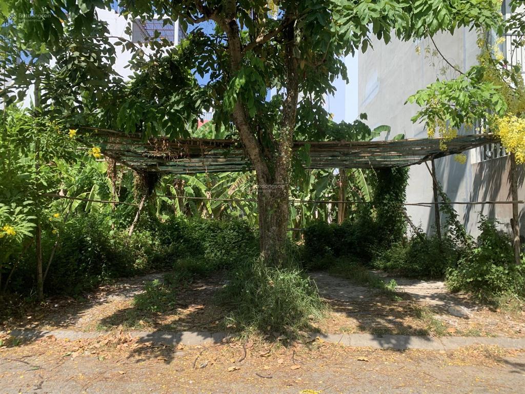 Bán đất 5 x 17  85m² kdc greenlife 13c mt đường thông 12m. sổ đỏ cn xã phong phú b chánh cũ