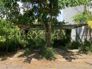 Bán đất nền 5 x 1785m2 kdc greenlife 13c mặt tiền 12m  sổ đỏ cá nhân. xã bình hưng phong phú bc .