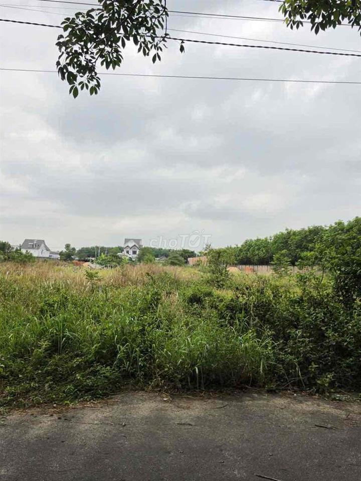 đất nền chánh phú hoà
