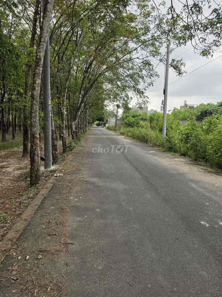 đất nền chánh phú hoà