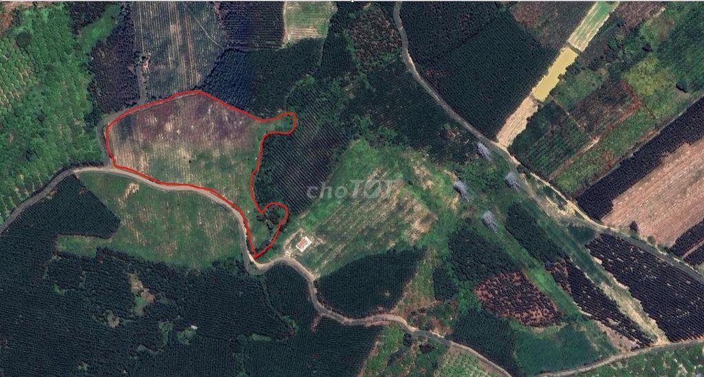 Bán gấp 3 lô đất trồng cây cạnh nhau, mỗi lô ~22,989 m2, Hàm Tân, BT