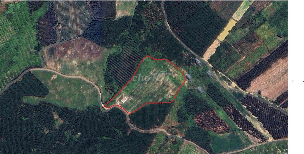Bán gấp 3 lô đất trồng cây cạnh nhau, mỗi lô ~22,989 m2, Hàm Tân, BT