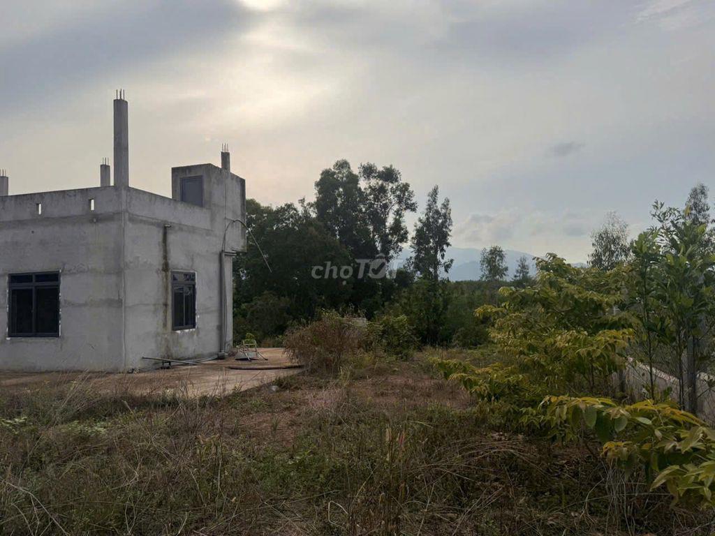 Bán gấp 3 lô đất trồng cây cạnh nhau, mỗi lô ~22,989 m2, Hàm Tân, BT