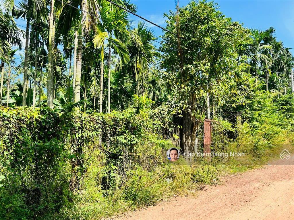 Bán đất xã an nhơn tây 1598m2 thổ cư 215m2. giá bán 4 tỷ có thương lượng
