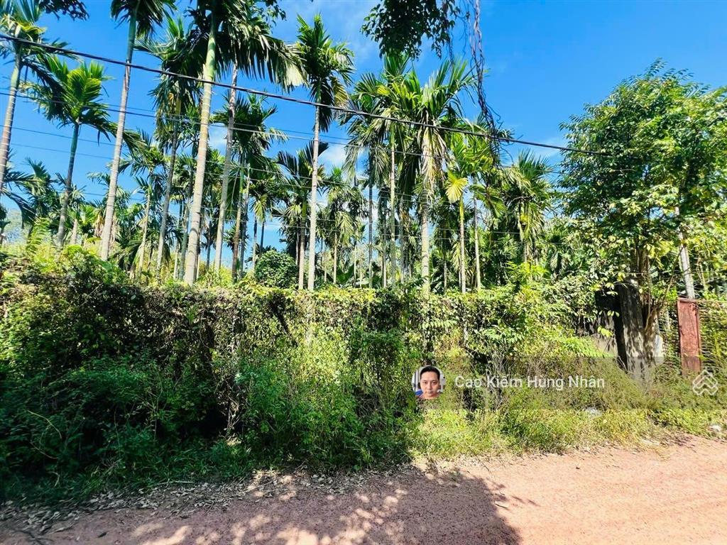 Bán đất xã an nhơn tây 1598m2 thổ cư 215m2. giá bán 4 tỷ có thương lượng