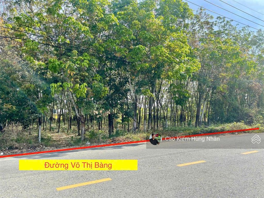 Đất bán đường võ thị bàng xã phú mỹ hưng 19x60 1149m2 có ont. giá bán 4 tỷ 500tr có thương lượng