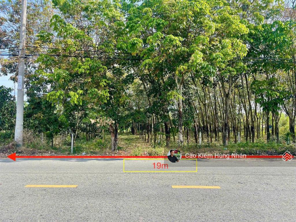 Đất bán đường võ thị bàng xã phú mỹ hưng 19x60 1149m2 có ont. giá bán 4 tỷ 500tr có thương lượng