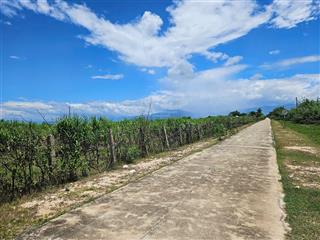 Đất đẹp hơn 3ha có sẵn 500m² đất ở kế bên khu tđc phước thắng  đường bê tông ôm đất hơn 200m