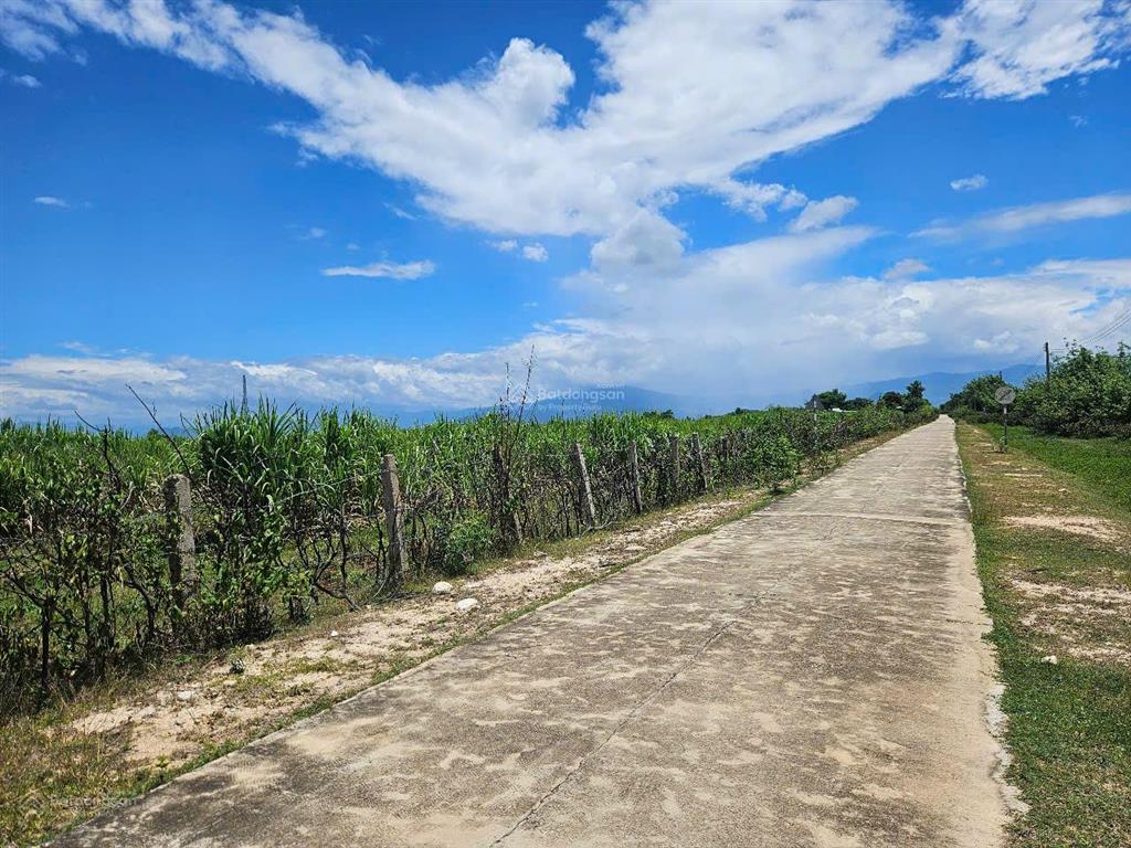 Đất đẹp hơn 3ha có sẵn 500m² đất ở kế bên khu tđc phước thắng  đường bê tông ôm đất hơn 200m