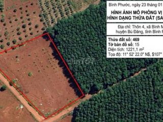 BÁN NHANH đất 1.221m² Bù Đăng Bình Phước – 400m² thổ cư chỉ 1,5 tỷ