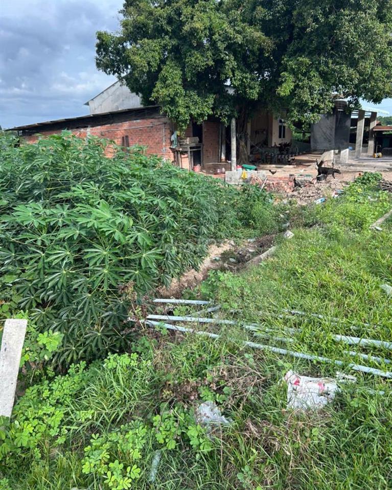 🌿 ĐẤT VƯỜN RỘNG 2.618M² TRÍ BÌNH, TÂY NINH - GIÁ CHỈ 500 TRIỆU!