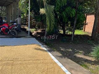 CẦN BÁN GẤP ĐẤT TÂY NINH HẢO ĐƯỚC, CHÂU THÀNH 106M² - GIÁ CHỈ 450 TR