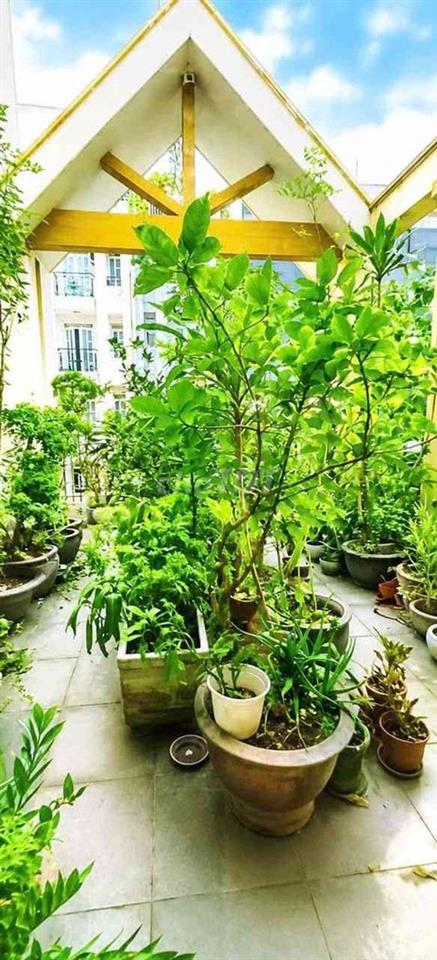 Nhà mặt tiền  Nguyễn Minh hoàng