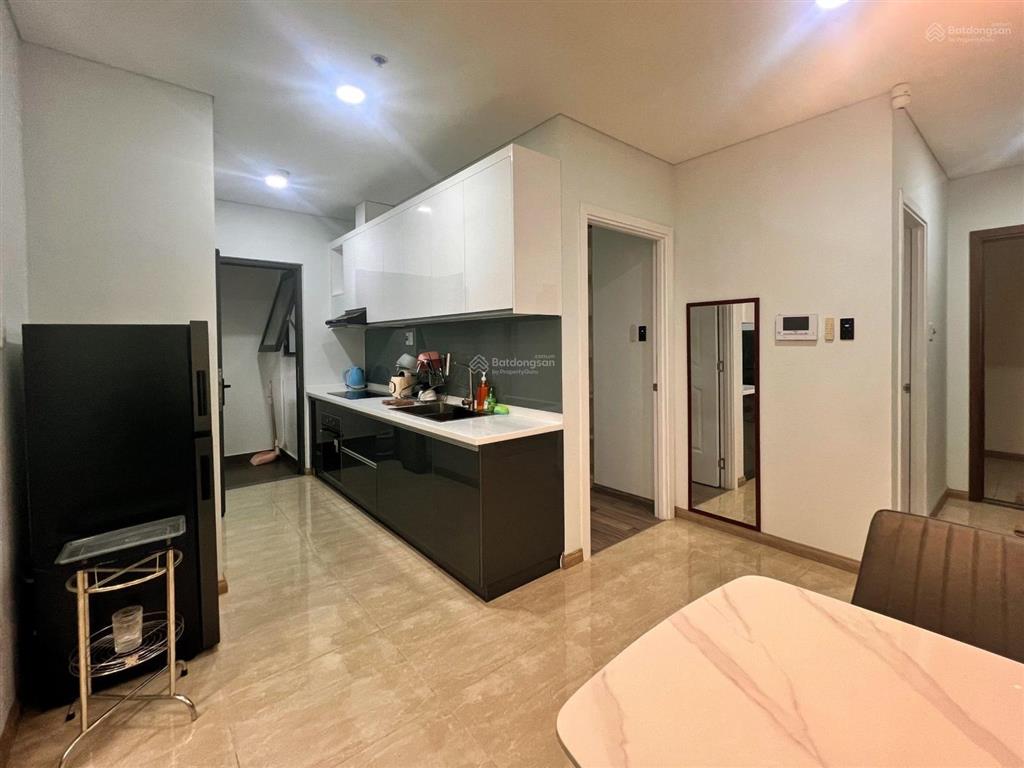 Cho thuê căn hộ monarchy b đầy đủ nội thất vào ở ngay tầng cao view sông