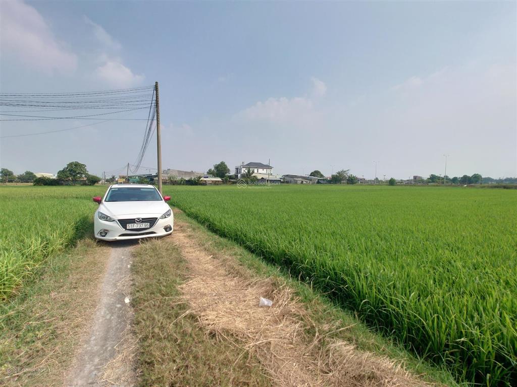 400m2 10x40m cạnh khu cn nam thuận hải sơn đức hòa đông 500m, cách ranh sg 1,4km