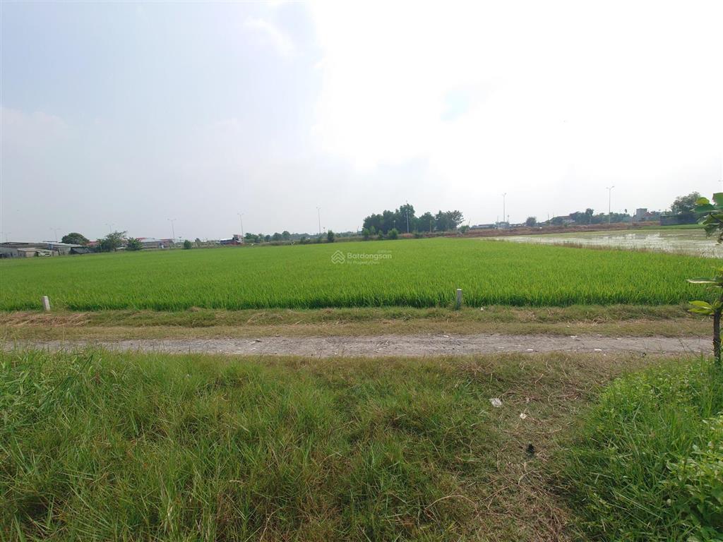 400m2 10x40m cạnh khu cn nam thuận hải sơn đức hòa đông 500m, cách ranh sg 1,4km