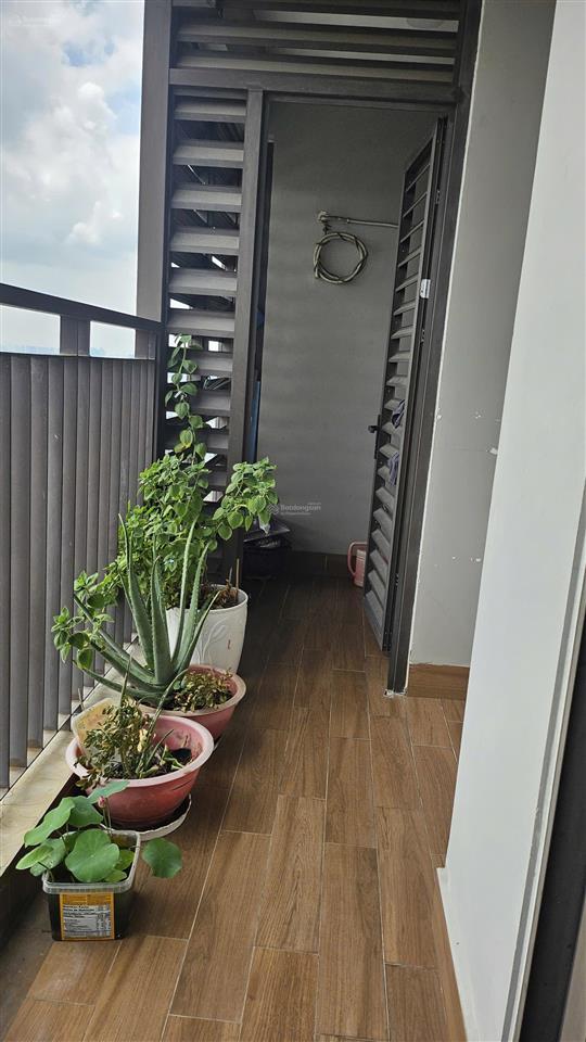Chính chủ bán căn hộ đẹp tại a1 opal boulevard, 107,3 m2, 3pn, 2wc