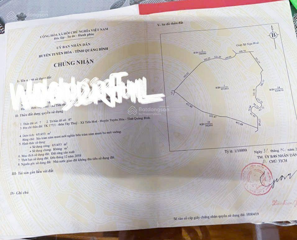 Bán lô đất rừng sản xuất hơn 163 hécta (ha) tại tiến hoá  tuyên hoá quảng bình (chỉ 2.900đ/m2)
