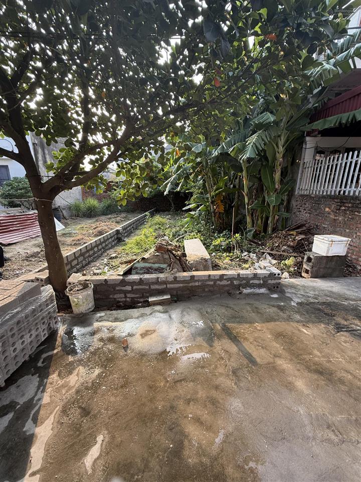 Bán lô góc 56m2 ngõ 3,5m cách ngã 4 chợ 50m tại phạm hải đông lãm đa phúc sát fpt và đồng hoà