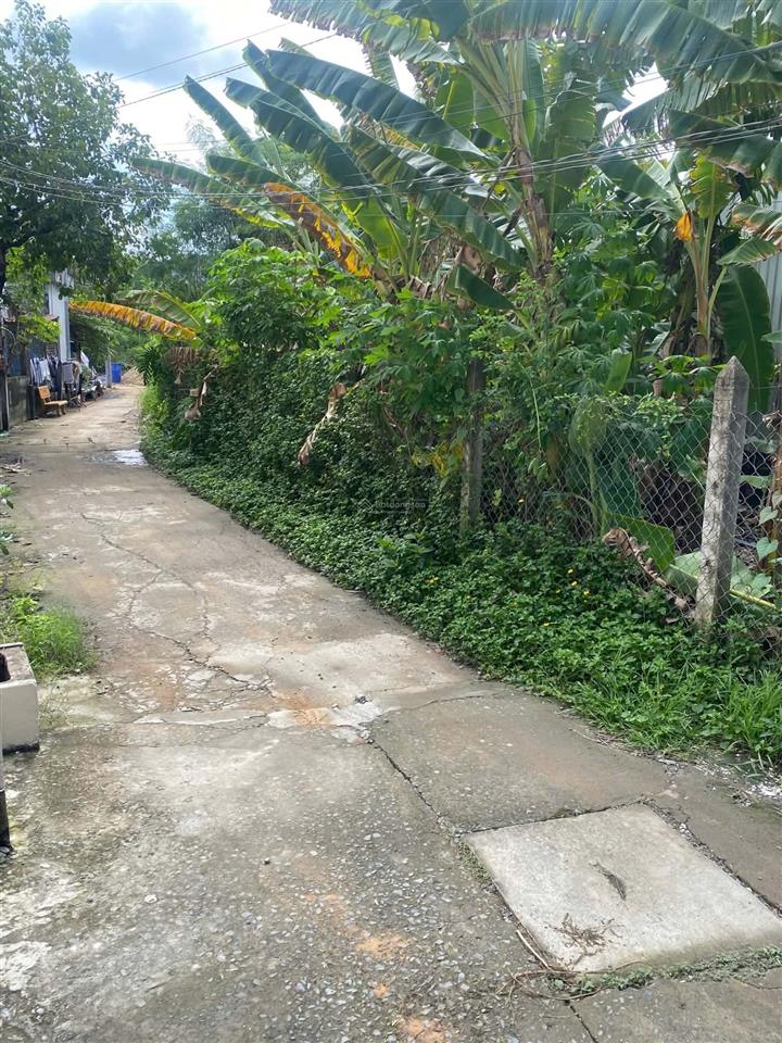 Chính chủ bán lô góc 93,1m²  100% thổ cư  ngay cửa ngõ cảng biển gò công