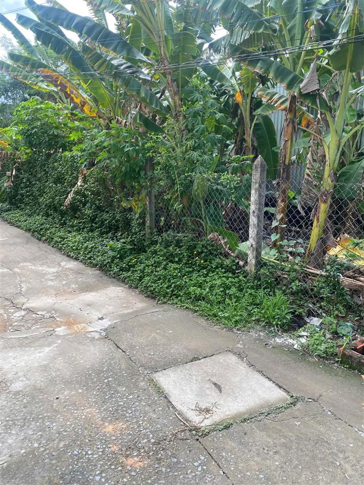 Chính chủ bán lô góc 93,1m²  100% thổ cư  ngay cửa ngõ cảng biển gò công