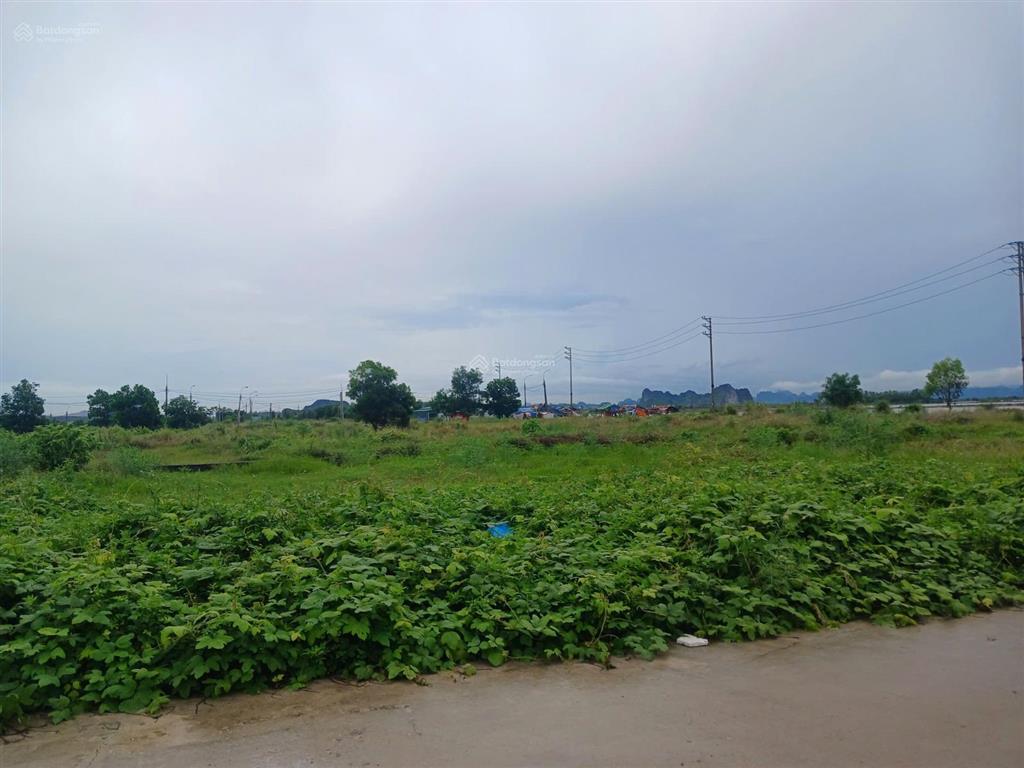 Bán đất thống nhất 3 phường tân an (nay thuộc phường hà an).