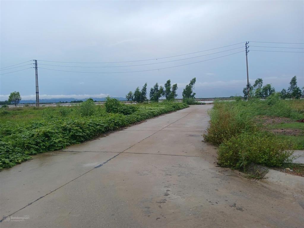 Bán đất thống nhất 3 phường tân an (nay thuộc phường hà an).