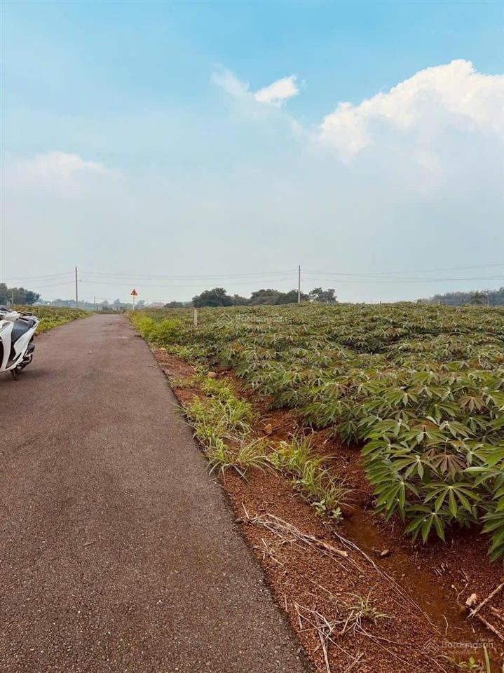 Lô đất 1363m2 cực đẹp tại xã xuân đường cách cổng sân bay 2,5km