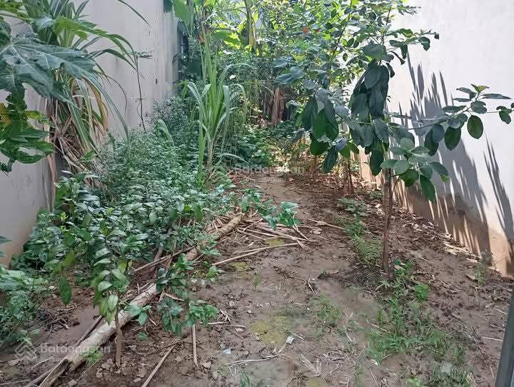 Bán lô đất 46m cạnh đất đấu giá đường trịnh văn bô giá 8.x tỷ.  0968 413 ***