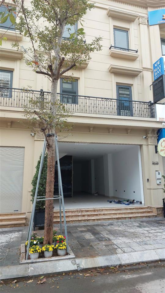 Văn phòng công ty, showroom hoặc cửa hàng kinh doanh