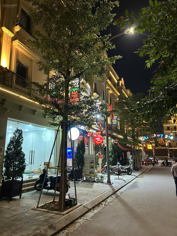 Văn phòng công ty, showroom hoặc cửa hàng kinh doanh