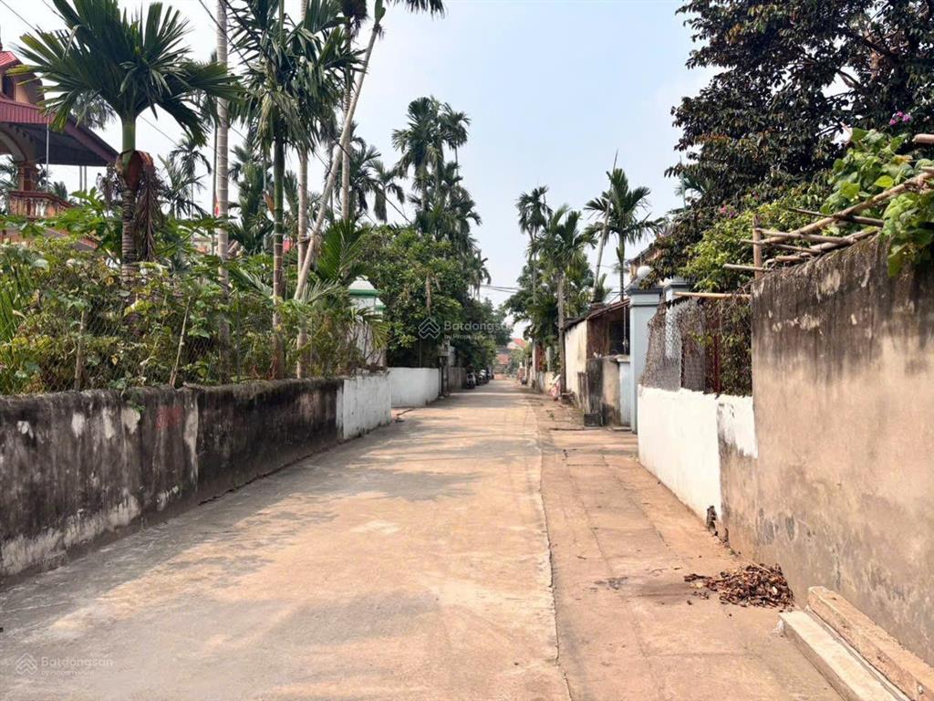 Chính chủ gửi bán 100m2 tại cd quán trạch, văn giang đường 5m, ngõ thông các ngả