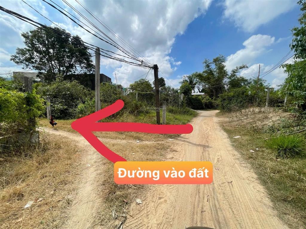 Bán đất phước an  diêu trì  quy nhơn  350trđ