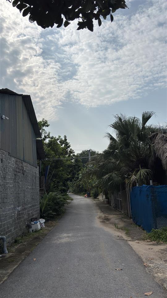 100m2 full thổ giáp thiện kế xanh, xây tự do, đường 2 xe tránh, gần kcn thăng long 3. giá chỉ 1.xtỷ