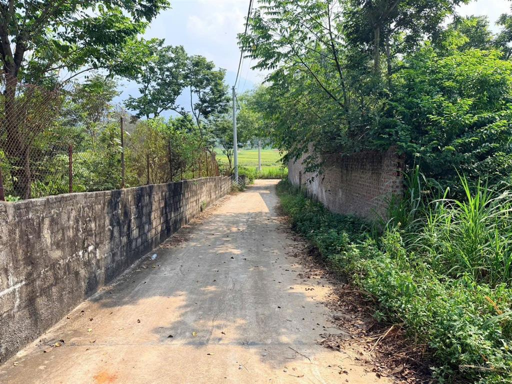 Chỉ 390tr có ngay 1 lô đất với diện tích 113m2. ở nhân lý, tam quan, tam đảo. đường thông thoáng