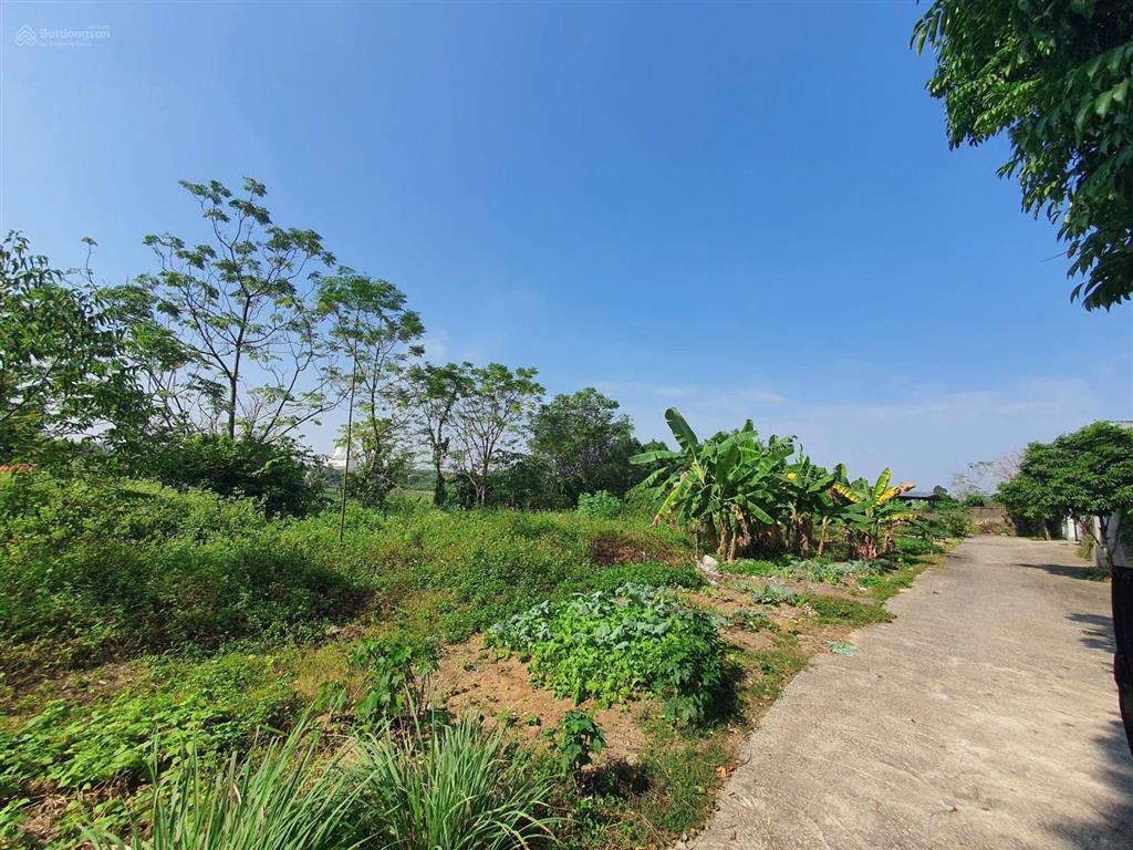 Nhỉnh 3 tỷ có hơn 1150m2 đất gần chân núi tam đảo. dân cư đông. ô tô đi thoải mái. sẵn sổ  thổ cư