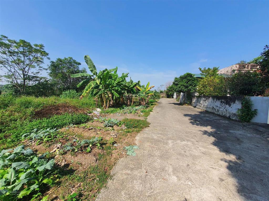 Nhỉnh 3 tỷ có hơn 1150m2 đất gần chân núi tam đảo. dân cư đông. ô tô đi thoải mái. sẵn sổ  thổ cư