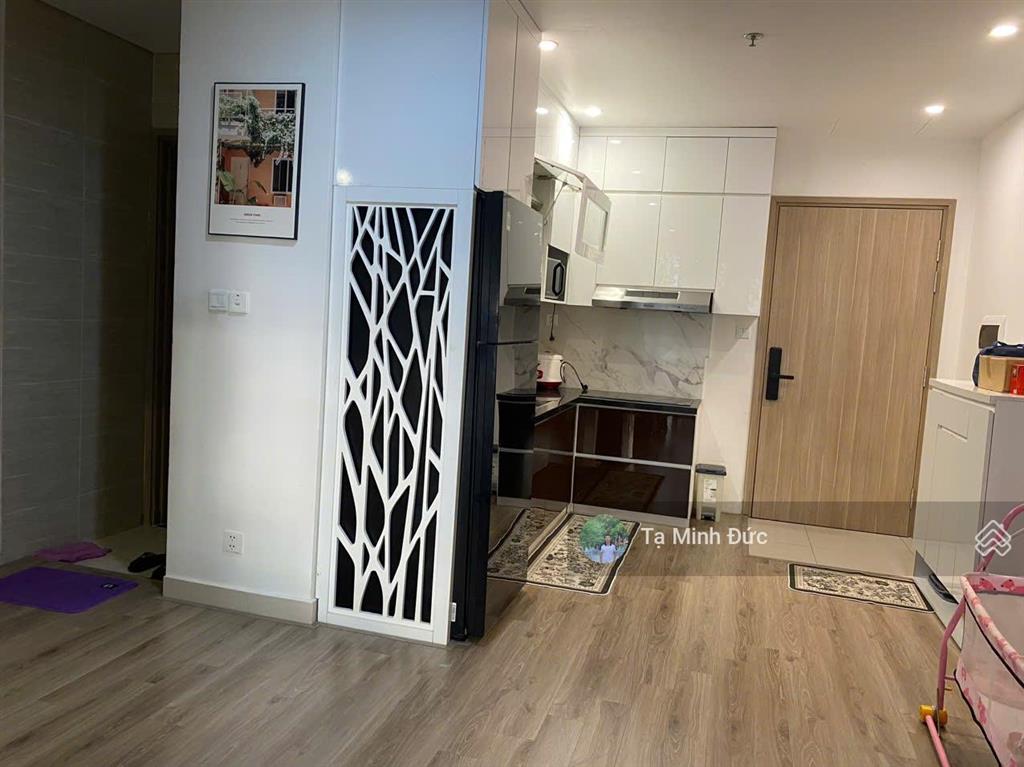 Chủ cần bán gấp căn hộ 2pn1wc diện tích 60m², full nội thất đẹp