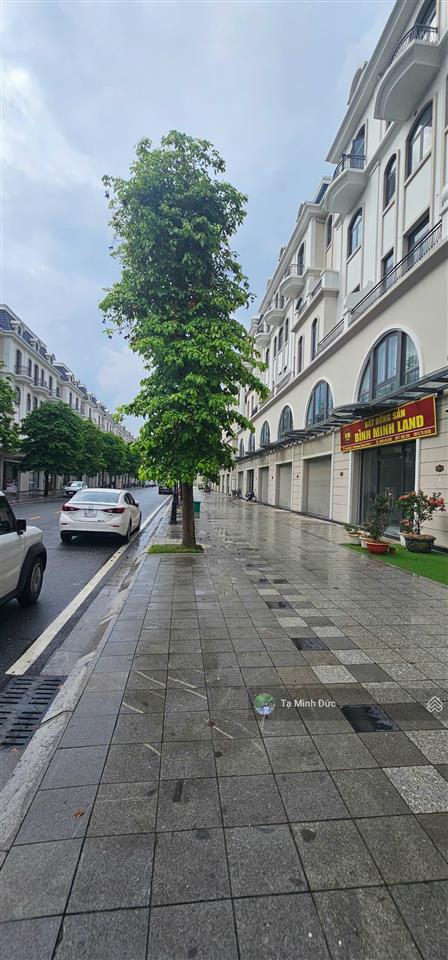 Bán bt vinhomes ocean park 2, 19 tỷ, 142m2, 5 tầng, 6m mặt tiền