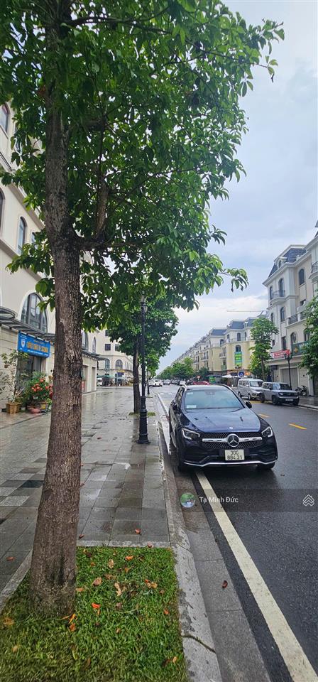 Bán bt vinhomes ocean park 2, 19 tỷ, 142m2, 5 tầng, 6m mặt tiền