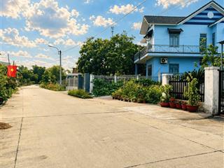 Kiệt chính vị cá điện nam bắc giá thương lượng cho khách thiện chí