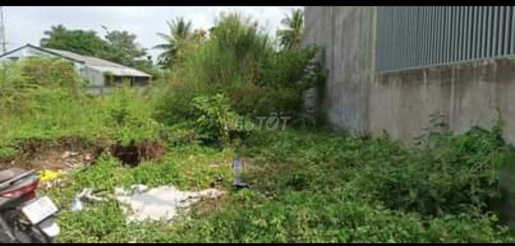 Nền Phường Tân Hạnh (Thành phố  Vĩnh Long cũ), Tỉnh Vĩnh Long
