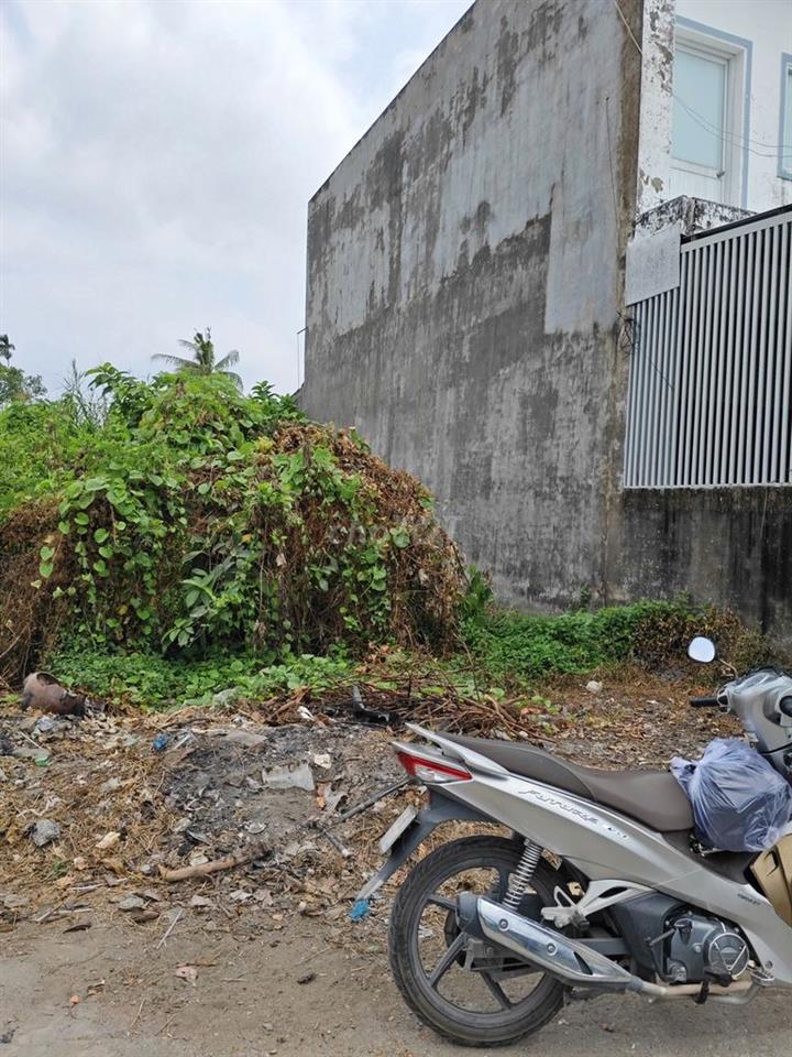 Nền Phường Tân Hạnh (Thành phố  Vĩnh Long cũ), Tỉnh Vĩnh Long