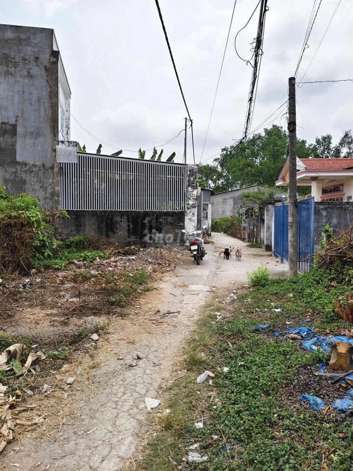 Nền Phường Tân Hạnh (Thành phố  Vĩnh Long cũ), Tỉnh Vĩnh Long